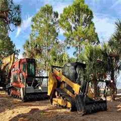 What Role Does Stump Grinding Services Play In Sustainable Forestry Mulching Practices In Portland