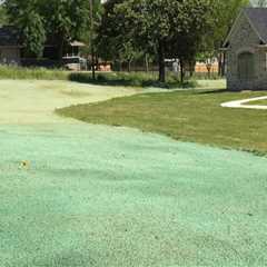 Refresh Your Lawn with Expert Hydroseeding in Auckland