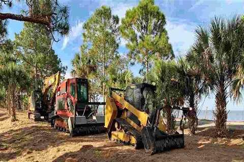 What Role Does Stump Grinding Services Play In Sustainable Forestry Mulching Practices In Portland