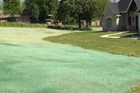 Refresh Your Lawn with Expert Hydroseeding in Auckland