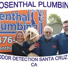 Sewer Odor Detection Santa Cruz County, CA