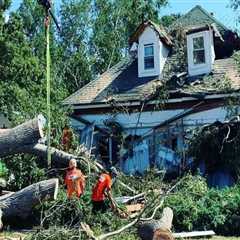 The Importance Of Regular Tree Maintenance In Fayetteville: Why Hiring An Extermination Company Is..