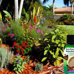 South Florida Best Natural Pest Control For Garden