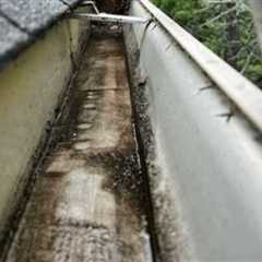 Gutter cleanout contractor Willow Grove, PA