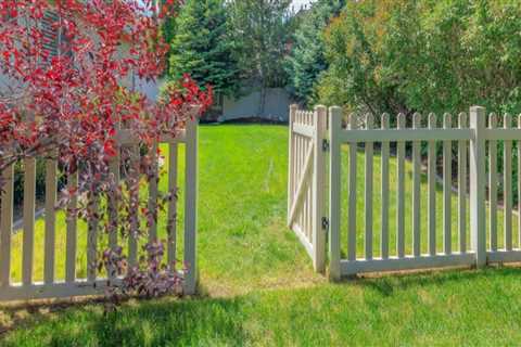 Maximizing Space with Fencing Solutions in Tauranga Gardens