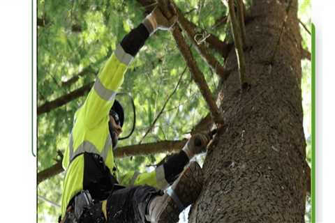 Protecting Gresham's Greenery: The Importance Of Tree Relocation In Tree Removal Services