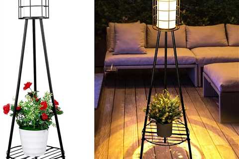 ROSHWEY Solar Lights Review: A Garden Delight