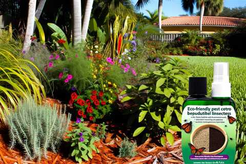 South Florida Best Natural Pest Control For Garden