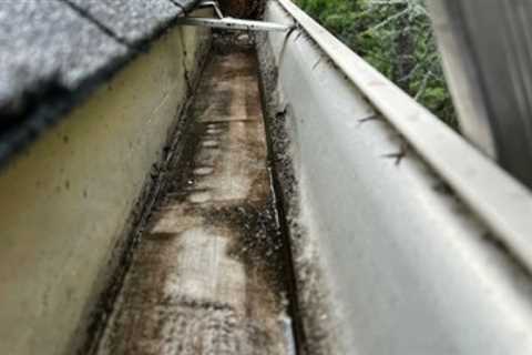 Gutter cleanout contractor Willow Grove, PA