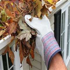 Cleaning Gutters and Downspouts: Tips for Maintaining Your Roof