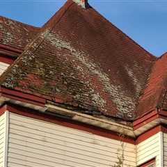 Preventing Mold and Mildew Growth on Your Roof