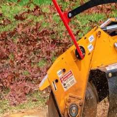 Transform Your Yard: The Complete Benefits Of Stump Grinding In Portland