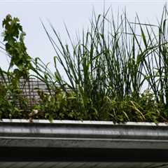 Gutter Cleaning in  Haddington Whether You'Re Dealing With A Blocked Down Pipe Or Need Routine..