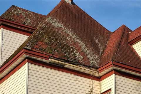 Preventing Mold and Mildew Growth on Your Roof