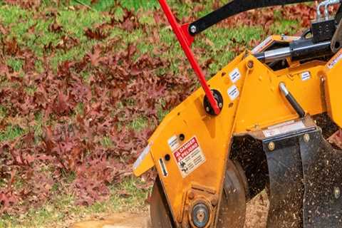 Transform Your Yard: The Complete Benefits Of Stump Grinding In Portland