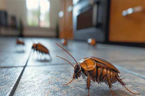 Cockroach-free Landscaping: Why Las Vegas Landscaping Services Need A Cockroach Exterminator