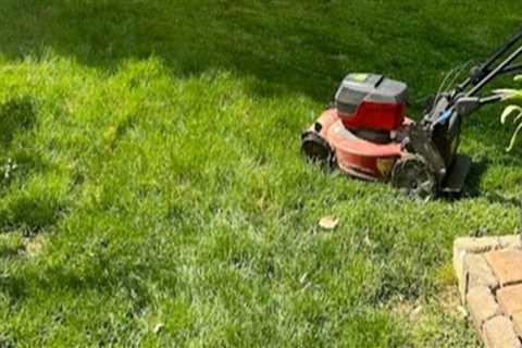 Eco-Friendly Lawn Care Services: A Sustainable Solution for a Greener Lawn