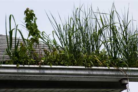 Gutter Cleaning in  Haddington Whether You'Re Dealing With A Blocked Down Pipe Or Need Routine..