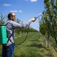 UNDERSTANDING THE DIFFERENT TYPES OF TREE DISEASES CAUSED BY ENVIRONMENTAL POLLUTION