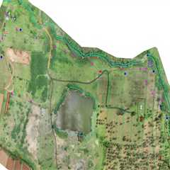 Understanding the Difference Between Boundary Surveys and Topographic Surveys in Land Surveying