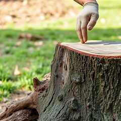 Removing A Tree Stump By Hand (801) 466–8044