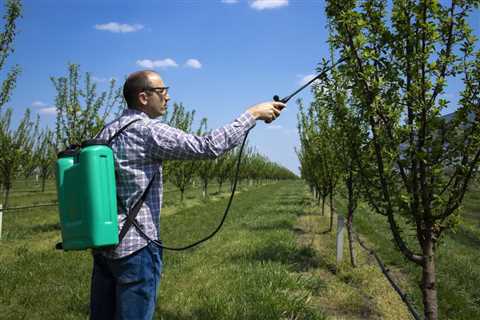 UNDERSTANDING THE DIFFERENT TYPES OF TREE DISEASES CAUSED BY ENVIRONMENTAL POLLUTION