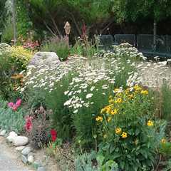 Eco-Friendly Options for Seasonal Landscaping Services