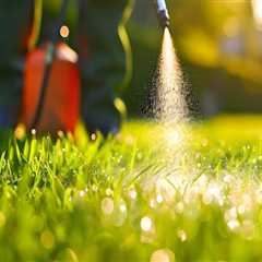 Tick Control Through Lawn Care Services: Protecting Your Derry Home And Family