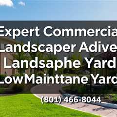 Expert Commercial Landscaper Advice For A Low-Maintenance Yard — Truco Services (801) 466–8044