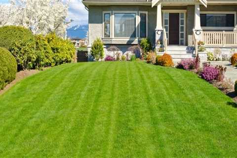 The Average Cost of Seasonal Landscaping Services: What You Need to Know