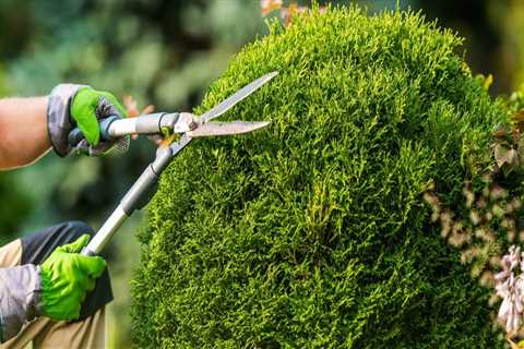 The Best Time of Year to Schedule Seasonal Landscaping Services