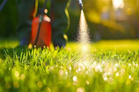 Tick Control Through Lawn Care Services: Protecting Your Derry Home And Family