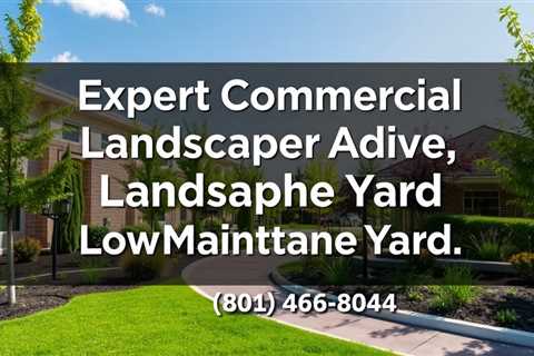 Expert Commercial Landscaper Advice For A Low-Maintenance Yard — Truco Services (801) 466–8044