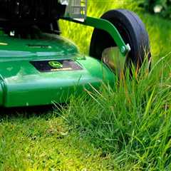 Grass Seed Success In Gresham: The Role Of Tree Removal In Lawn Care