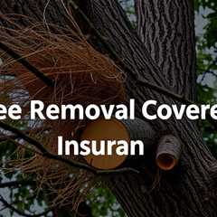 Is Tree Removal Covered By Insurance?