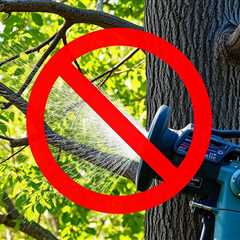 Tree Service Provo UT 84604 Truco Services (801) 466-8044