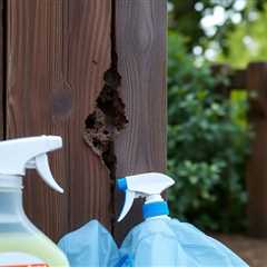 how to get rid of termites on fence