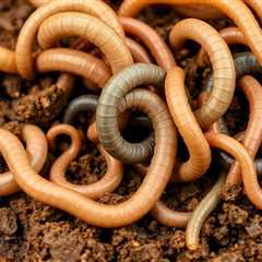 Exploring the Fascinating Types of Ground Worms: A Comprehensive Guide