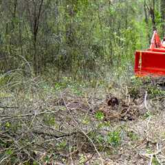 Poison Ivy Removal Made Easy Top Tractor Attachments For The Job