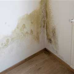 The Importance of Regularly Checking for Damage and Repairs After Renters