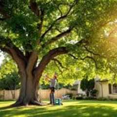 Top 8 Tree Services Every Homeowner Should Know