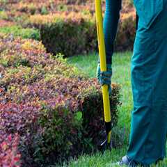 The Essential Guide To Land Clearing: Preparing Your New Hampshire Property For Lawn Care