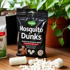 Mosquito Bits vs Dunks for Fungus Gnats: Which is the Best Solution for Your Plants?