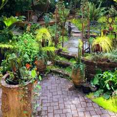Landscaping Services Unleashed: Transform Your Yard into a Stunning Outdoor Retreat