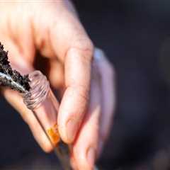 Regular Soil Testing and Amendments: Tips for Maintaining a Healthy Outdoor Space