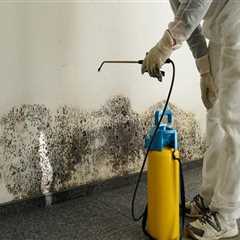 DIY Methods for Mold Removal: A Comprehensive Guide to Emergency Home Restoration