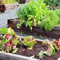A Guide to Regular Weeding, Pruning, and Fertilizing for a Beautiful Garden