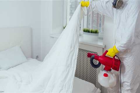 Beyond The Bedroom: Why Outdoor Pest Control Needs The Help Of Professional Bed Bug Control..