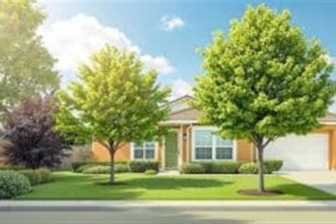 Tree Spacing for Fire Safety Near Homes
