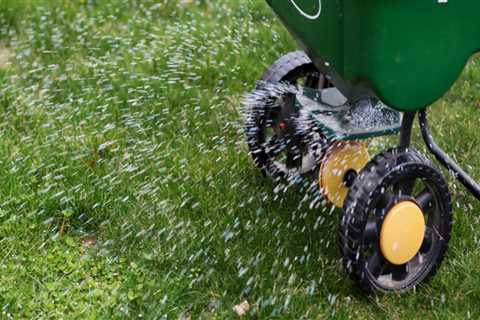Fertilization and Weed Control: How to Improve Your Home and Garden